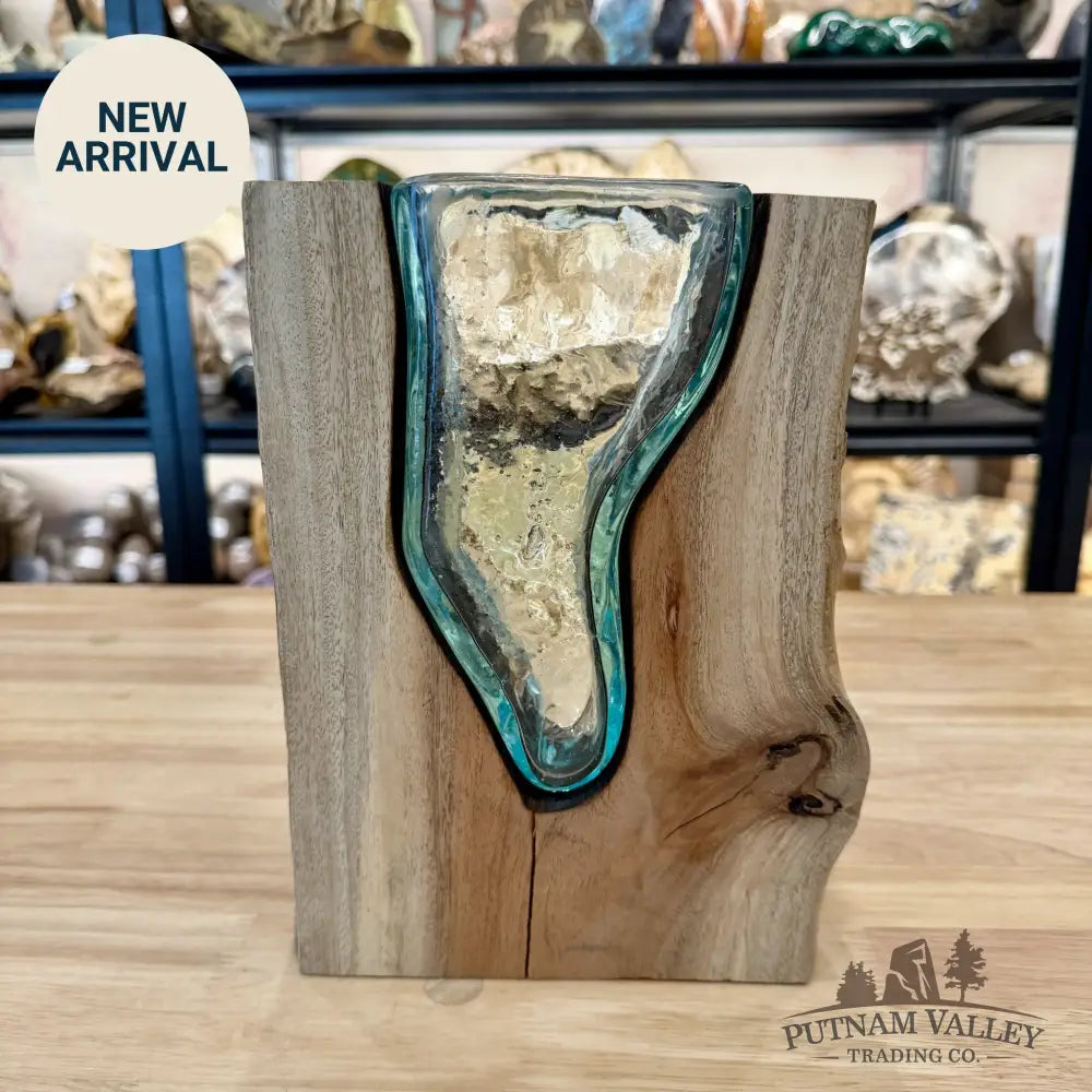 Molten Glass Vase on Indonesian Driftwood - Vase