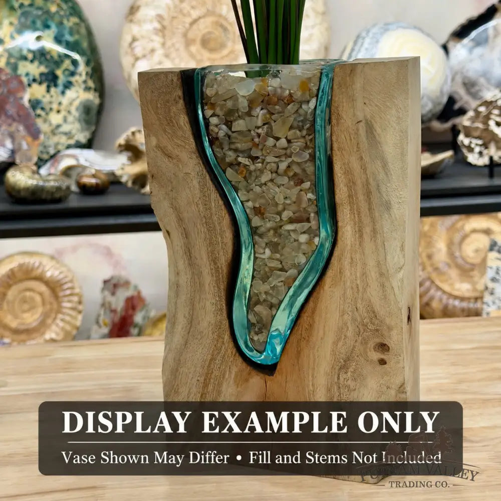Molten Glass Vase on Indonesian Driftwood - Vase