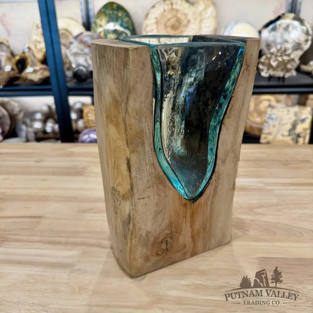 Molten Glass Vase on Indonesian Driftwood - Vase