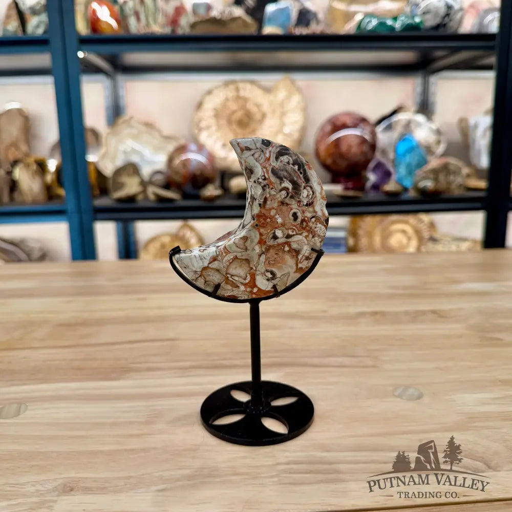 Money Agate Moon on Metal Stand 6.49’’ - Moon