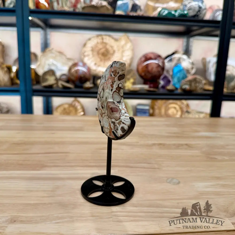 Money Agate Moon on Metal Stand 6.49’’ - Moon