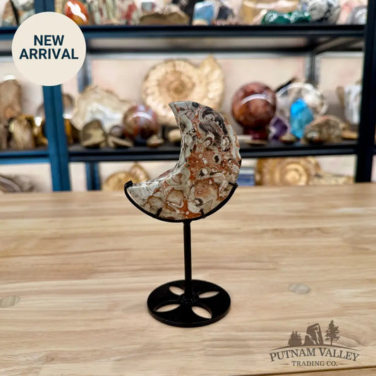 Money Agate Moon on Metal Stand 6.49’’ - Moon