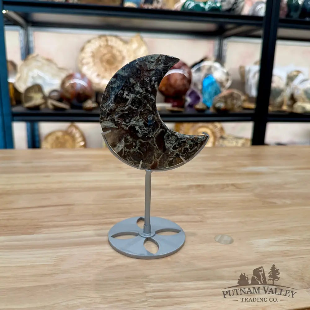 Money Agate Moon on Metal Stand 7.13’’ - Moon