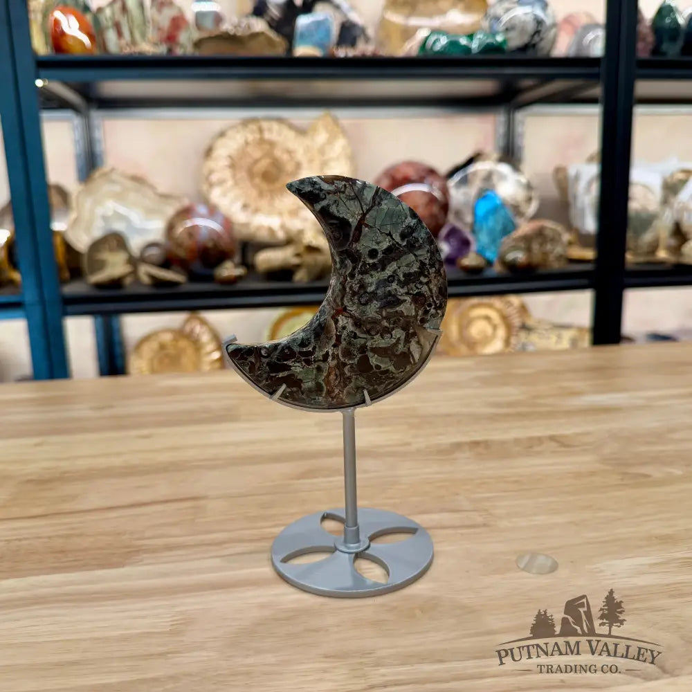 Money Agate Moon on Metal Stand 7.13’’ - Moon