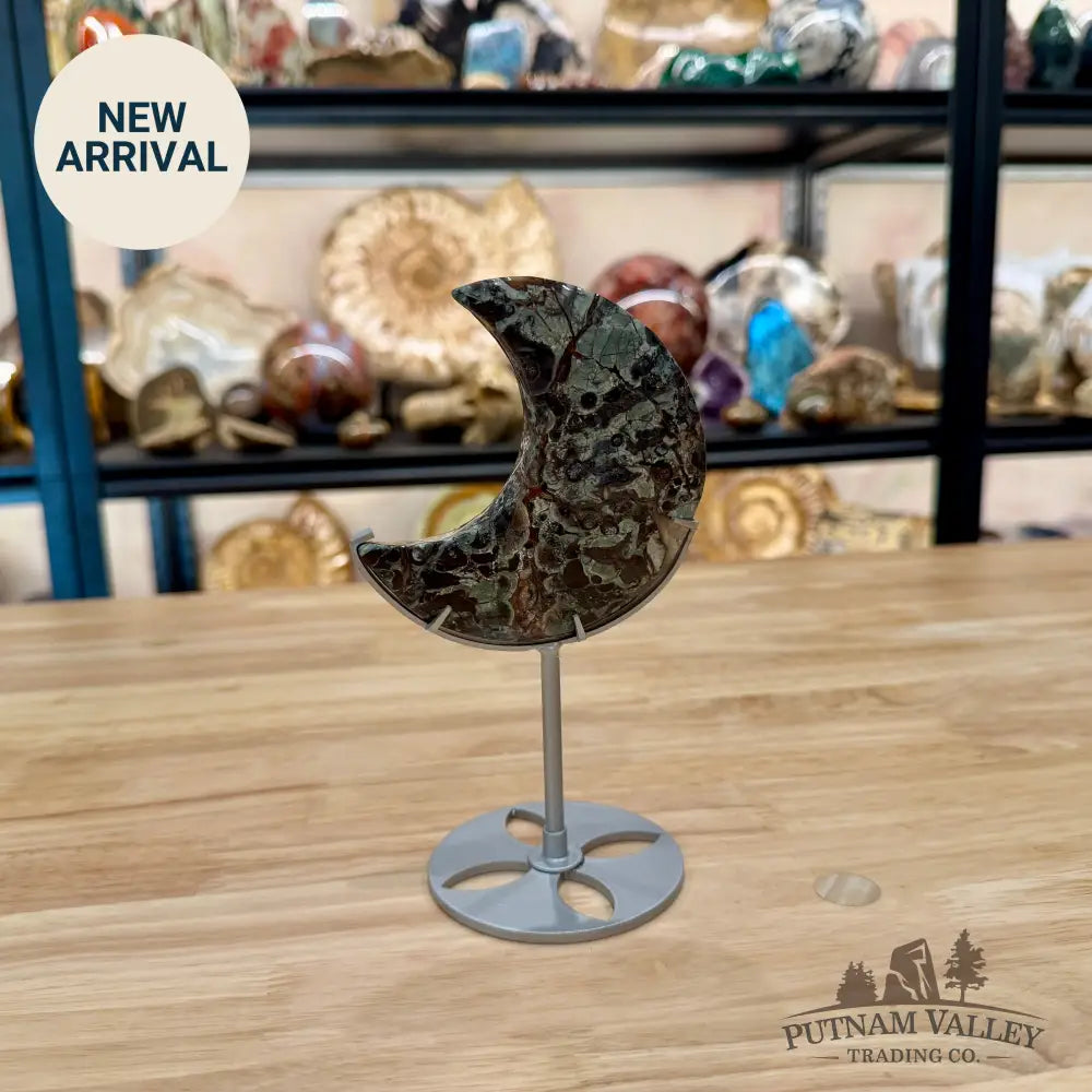 Money Agate Moon on Metal Stand 7.13’’ - Moon