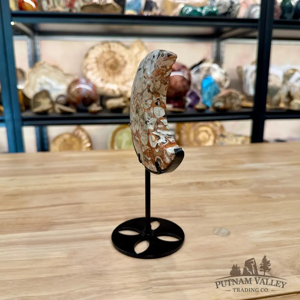 Money Agate Moon on Metal Stand 7.63’’ - Moon