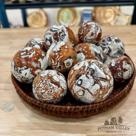 Money Agate Spheres | In Select Sizes - 1.8’’ - 1.99’’ - Sphere