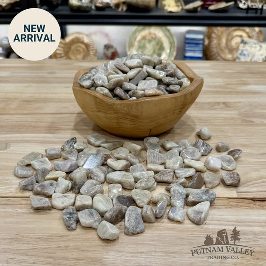 Moonstone Tumbles (½ lb) | Freeform - Tumbled Stone