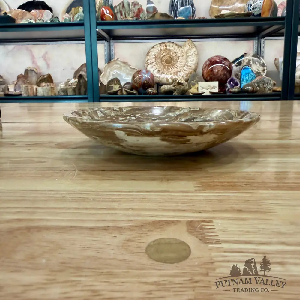 Moroccan Amber Aragonite Bowl 8’’ - Bowl