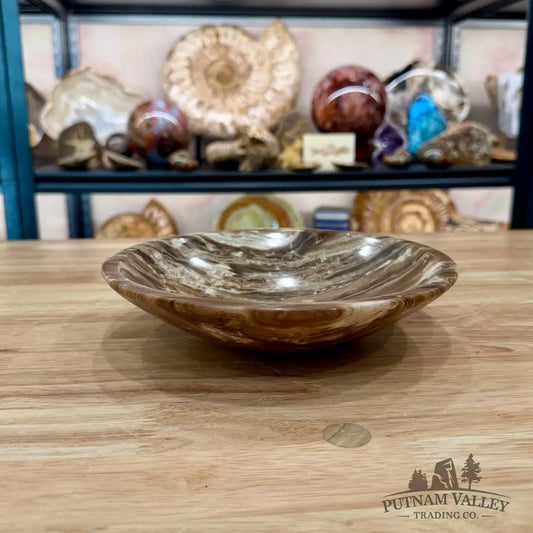 Moroccan Amber Aragonite Bowl 8’’ - Bowl