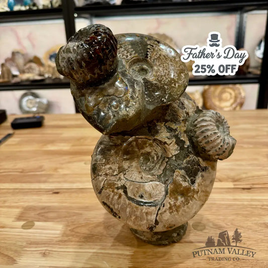 Moroccan Ammonite Cluster Sculpture 10.75’’ Fossil Sculpture