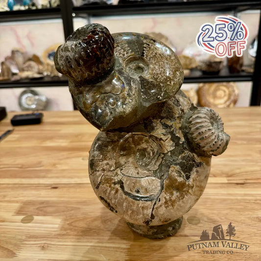 Moroccan Ammonite Cluster Sculpture 10.75’’ Fossil Sculpture