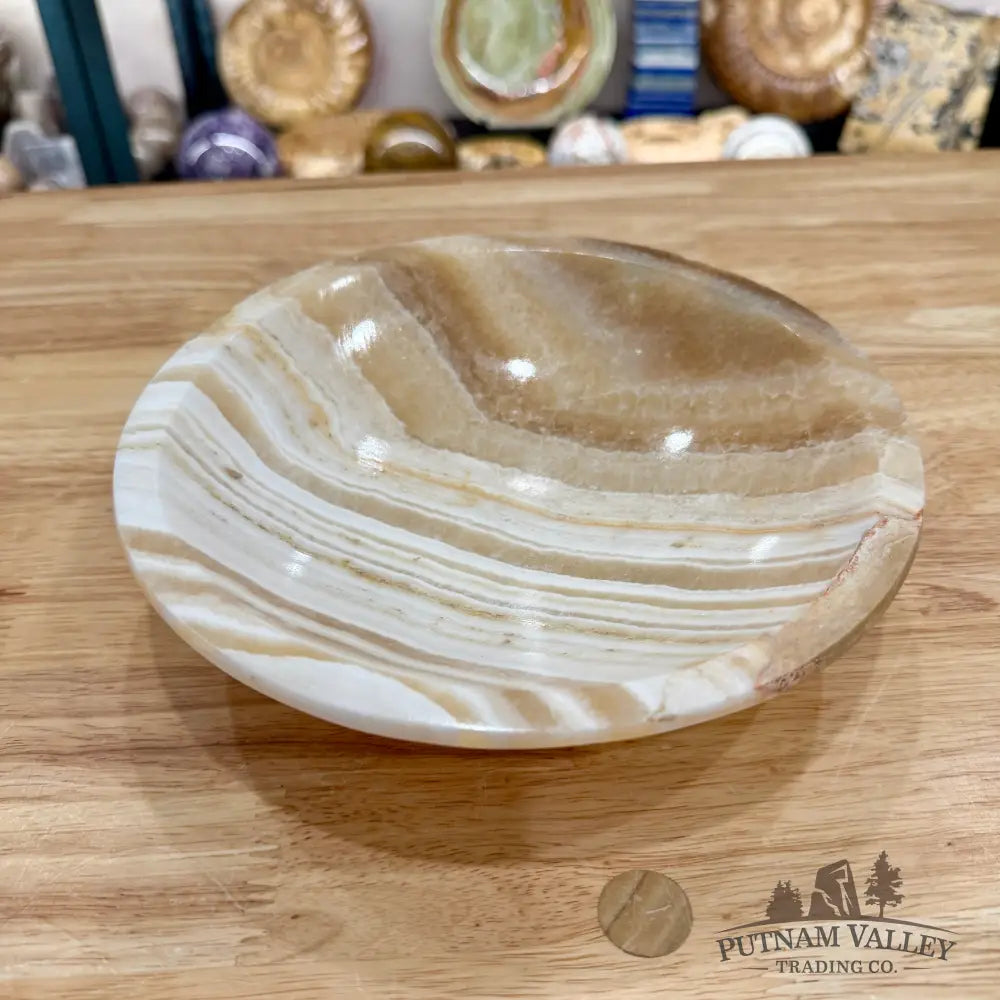 Moroccan Cream Aragonite Bowl 8’’ - Bowl