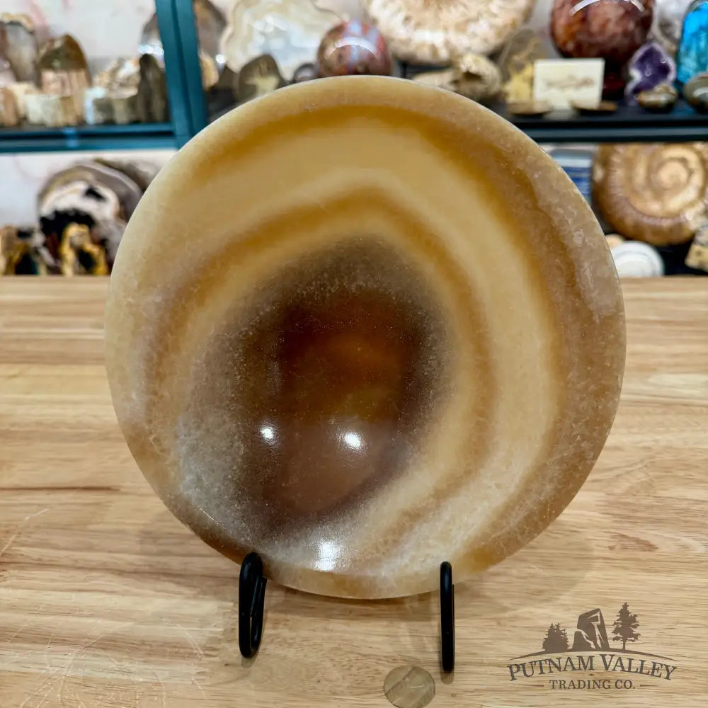 Moroccan Cream Aragonite Bowl 8’’ - Bowl