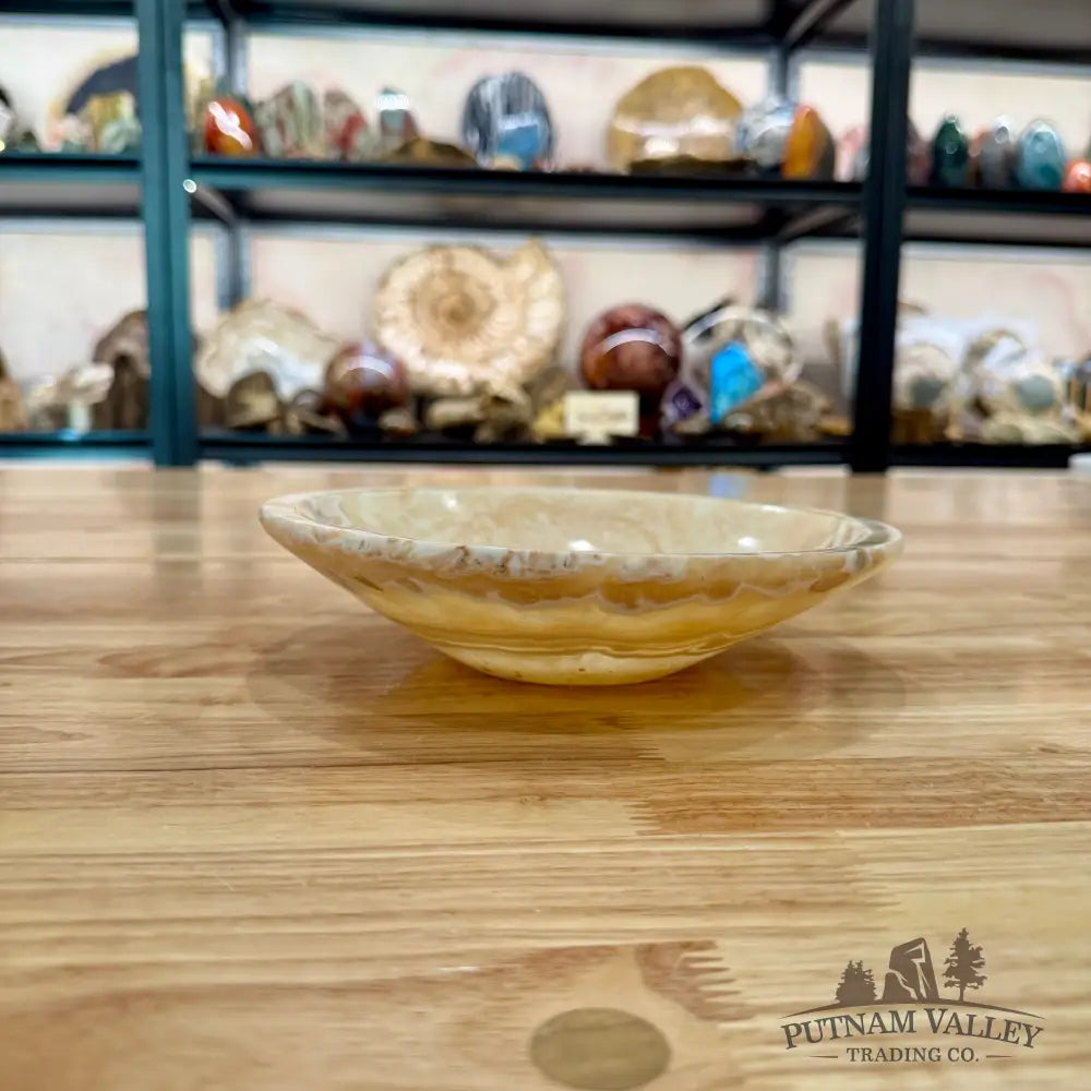 Moroccan Cream Aragonite Bowl 8’’ - Bowl