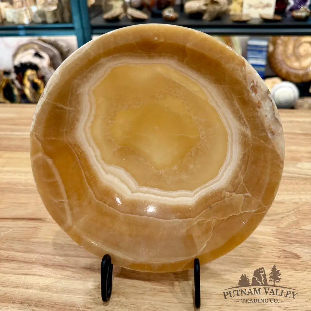 Moroccan Cream Aragonite Bowl 8’’ - Bowl