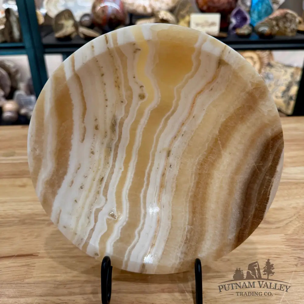 Moroccan Cream Aragonite Bowl 8’’ - Bowl
