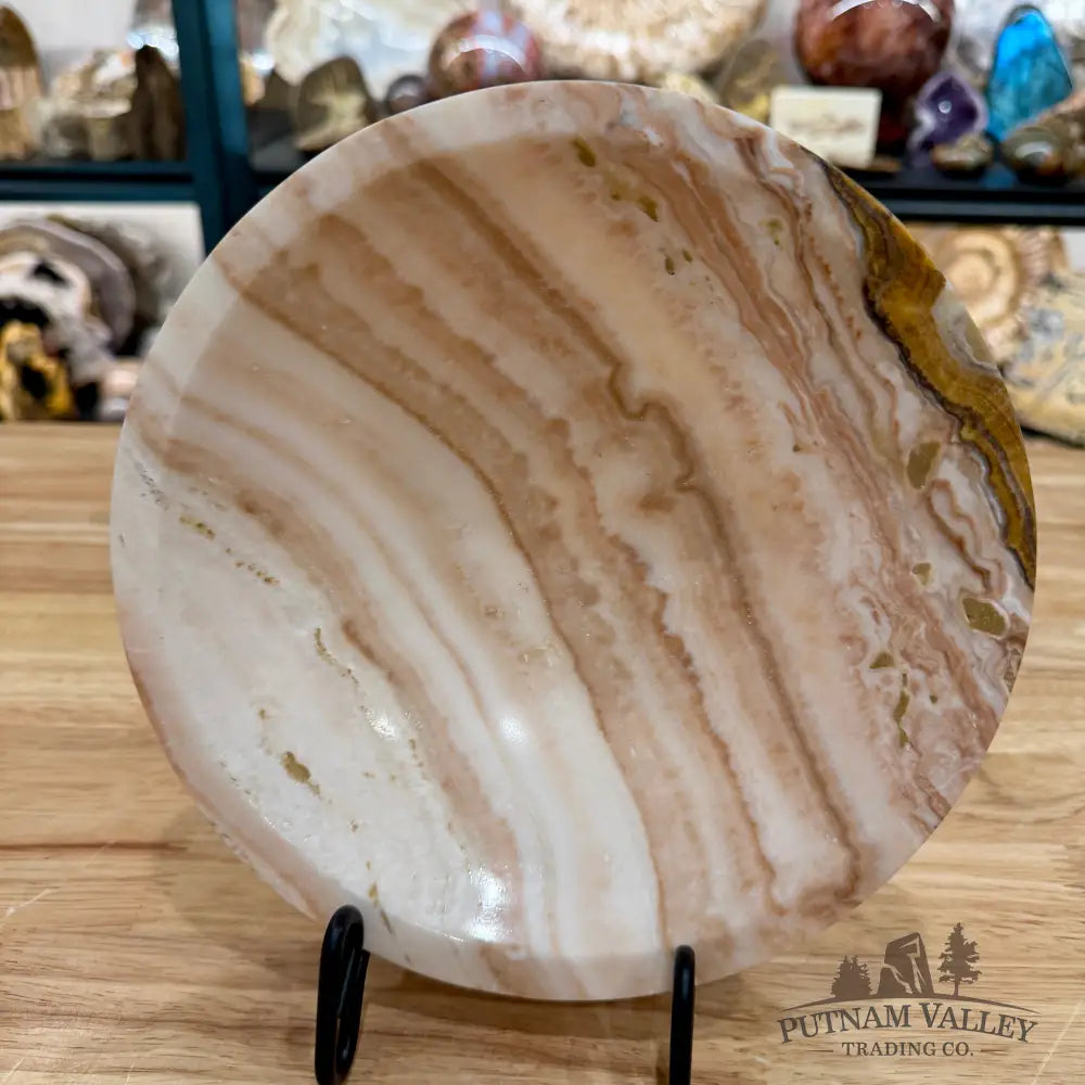 Moroccan Cream Aragonite Bowl 8’’ - Bowl