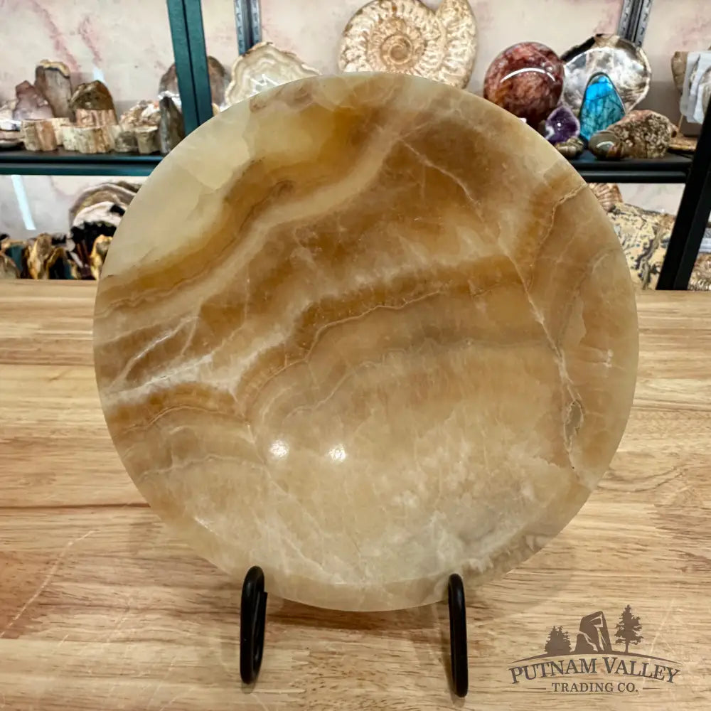 Moroccan Cream Aragonite Bowl 8’’ - Bowl