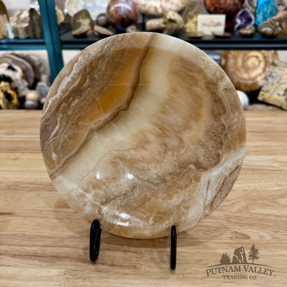 Moroccan Cream Aragonite Bowl 8’’ - Bowl