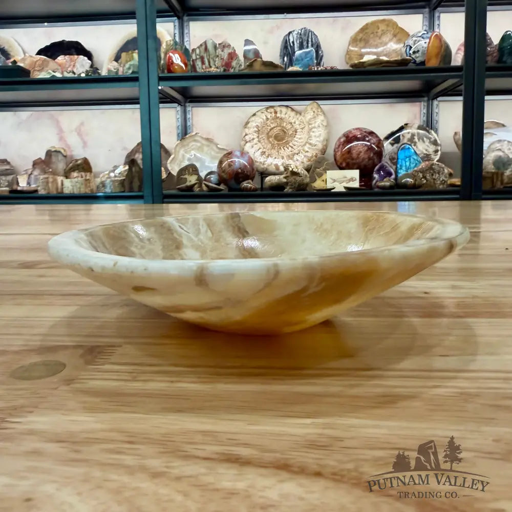 Moroccan Cream Aragonite Bowl 8’’ - Bowl