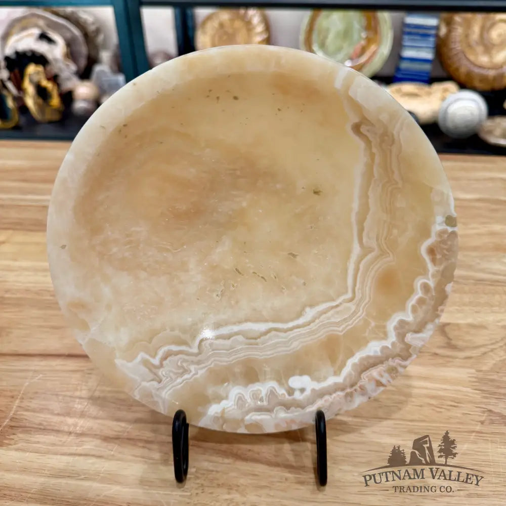 Moroccan Cream Aragonite Bowl 8’’ - Bowl