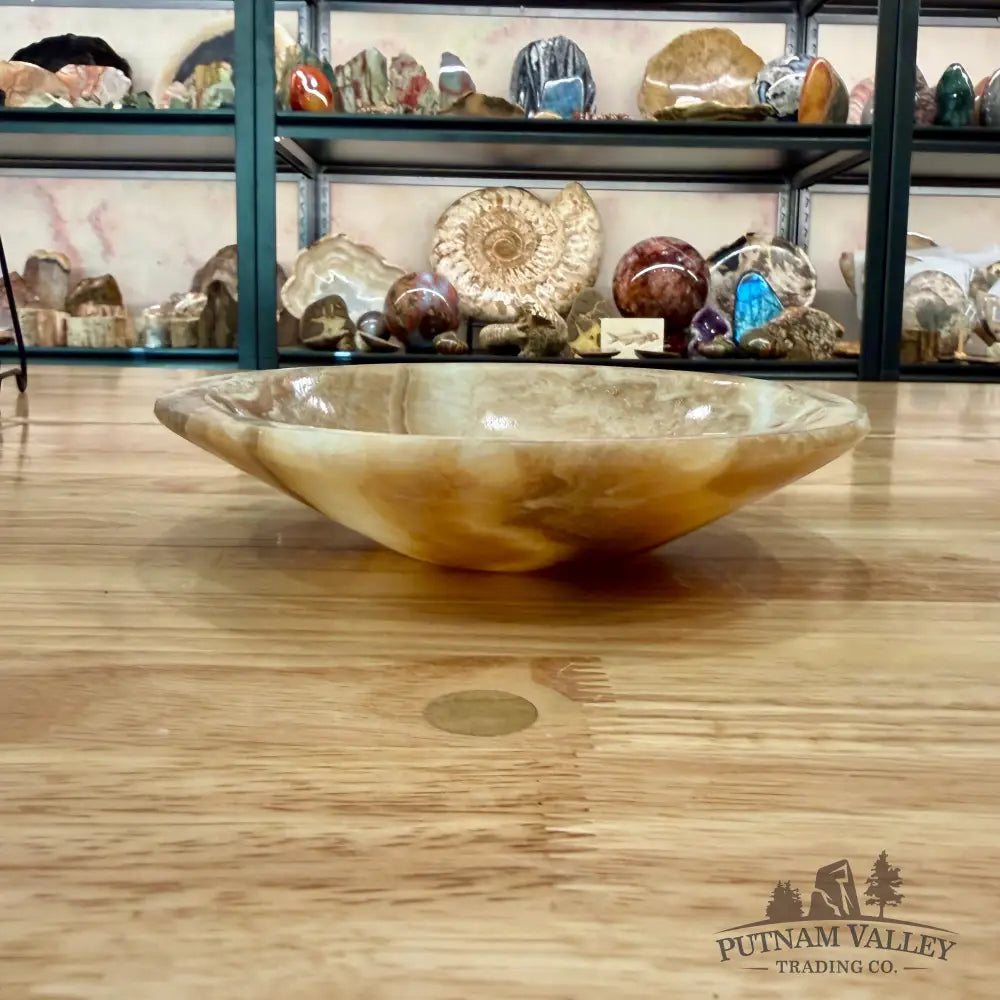 Moroccan Cream Aragonite Bowl 8’’ - Bowl