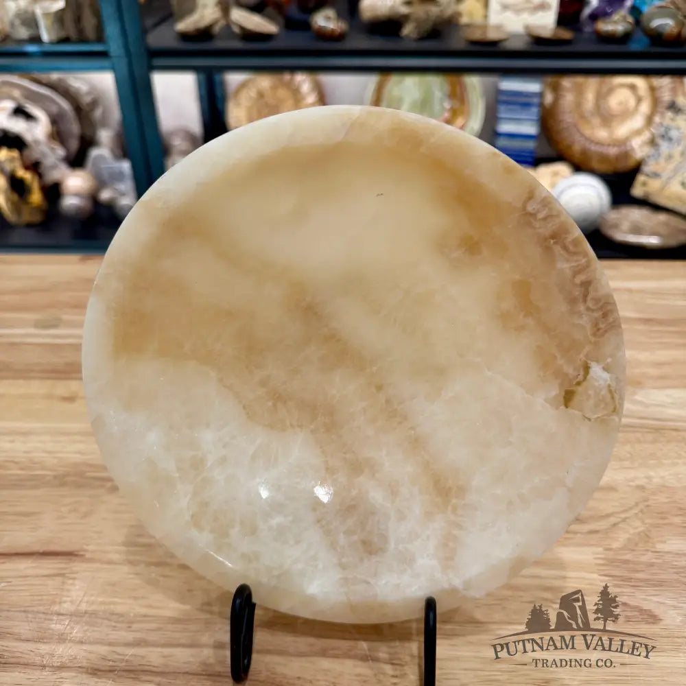 Moroccan Cream Aragonite Bowl 8’’ - Bowl