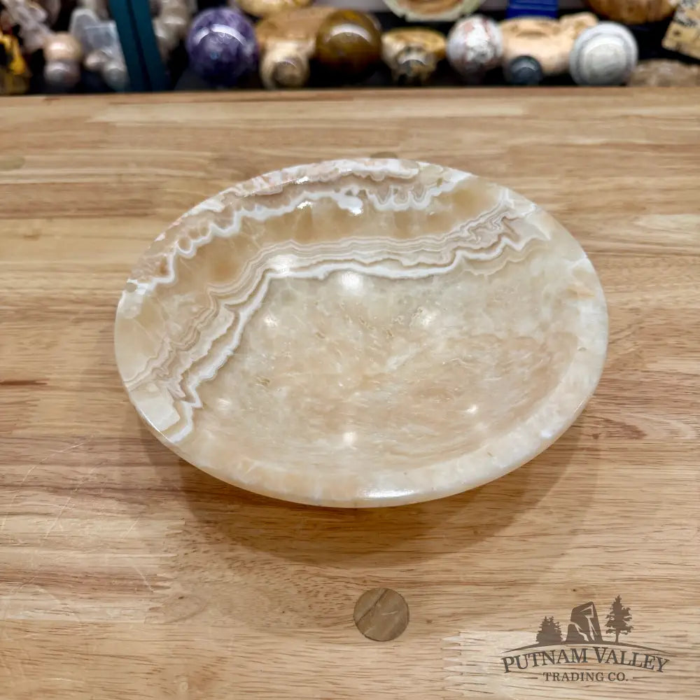 Moroccan Cream Aragonite Bowl 8’’ - Bowl