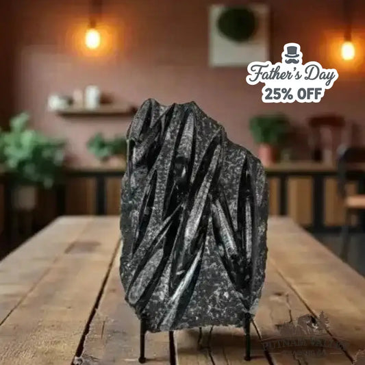Moroccan Orthoceras Fossil Slab - Fossil Slab
