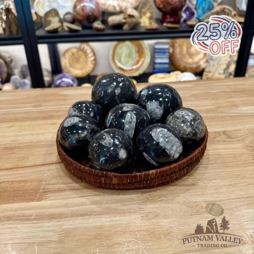 Orthoceras Fossil Spheres - Fossil Sphere