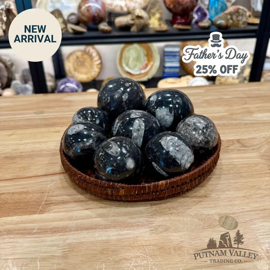 Orthoceras Fossil Spheres - Fossil Sphere