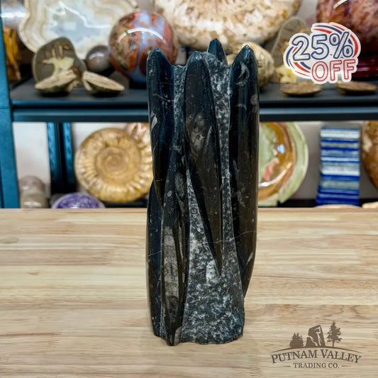 Moroccan Orthoceras Fossil Table Accent 9’’ - Fossil Sculpture