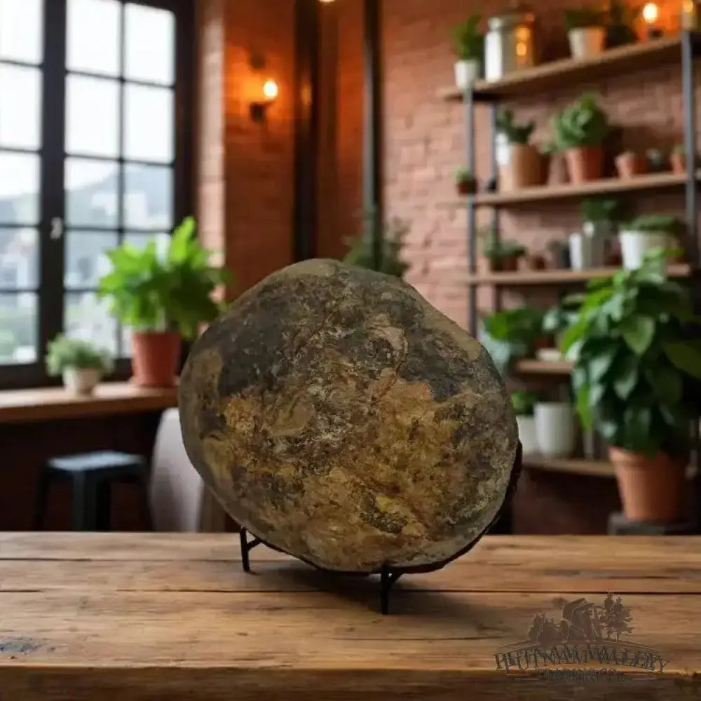 Moroccan Septarian Nodule Pair - Fossil Pair