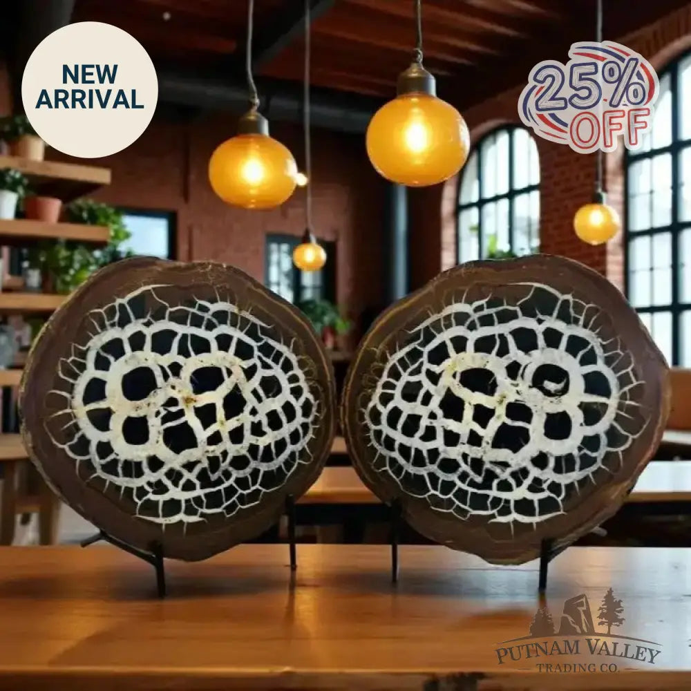 Moroccan Septarian Nodule Pair - Fossil Pair