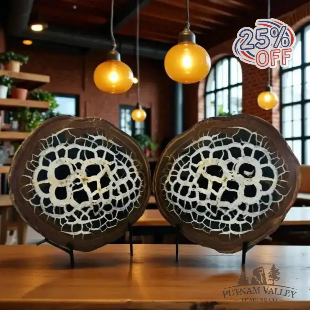 Moroccan Septarian Nodule Pair - Fossil Pair