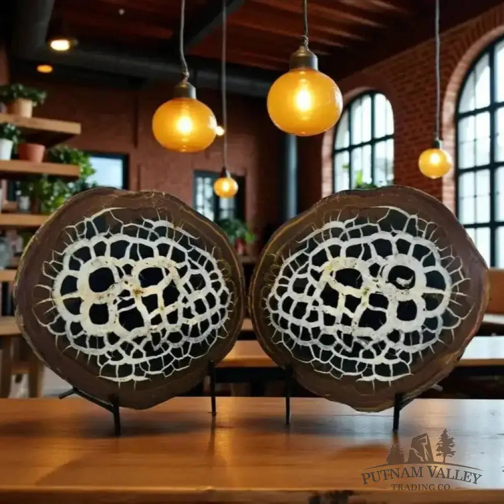 Moroccan Septarian Nodule Pair - Fossil Pair