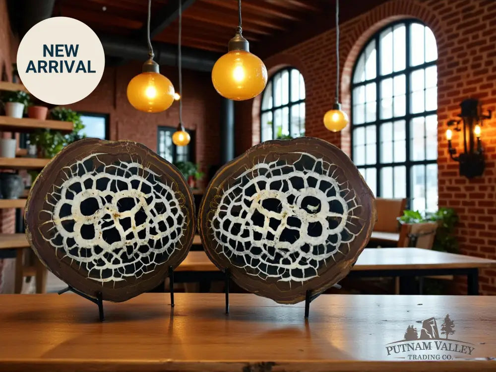 Septarian Nodule Pair