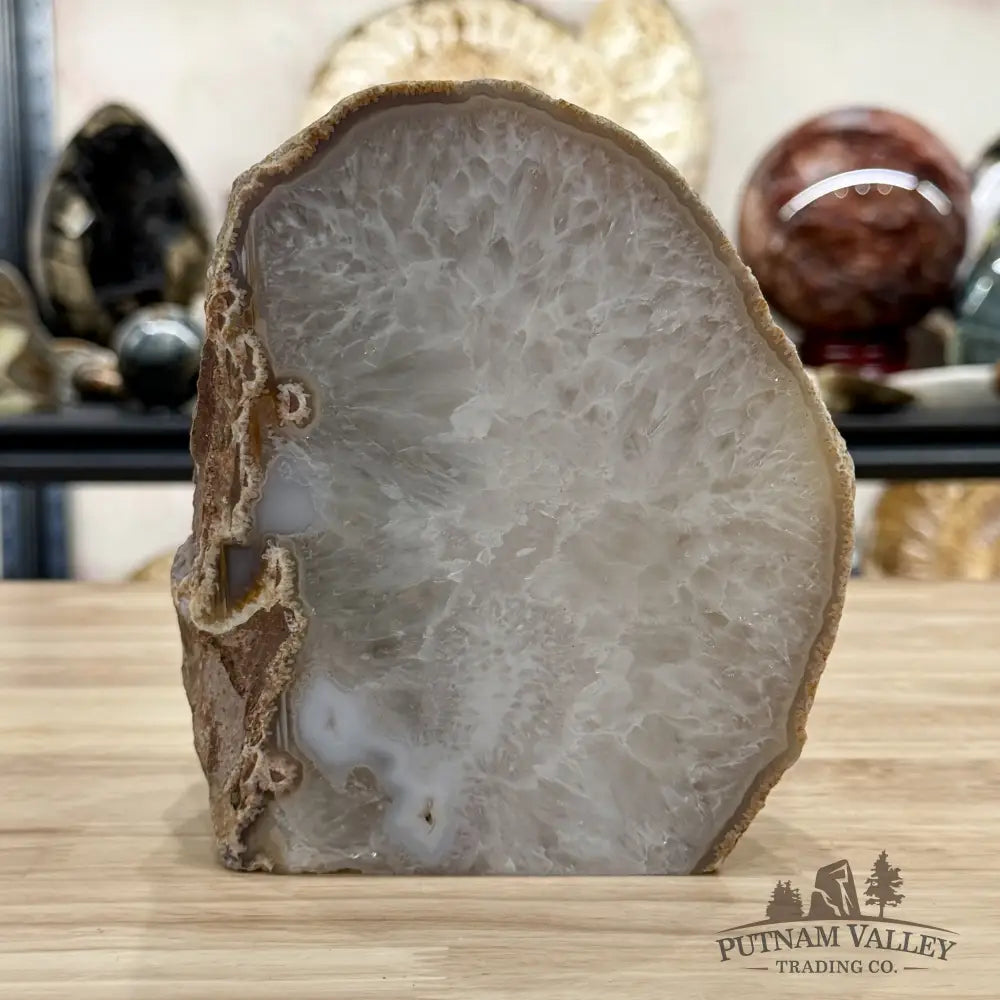 Natural Edge Polished Agate Lamp 5.9lb - Lamp