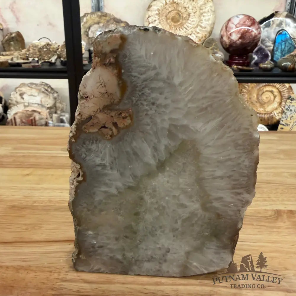 Natural Edge Polished Agate Lamp - Lamp