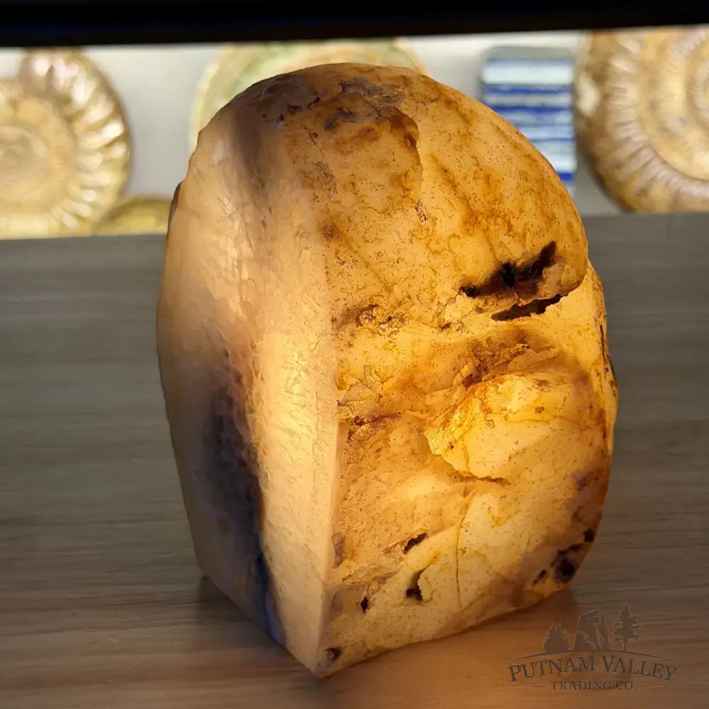 Natural Edge Polished Agate Lamp 6.18lb - Lamp