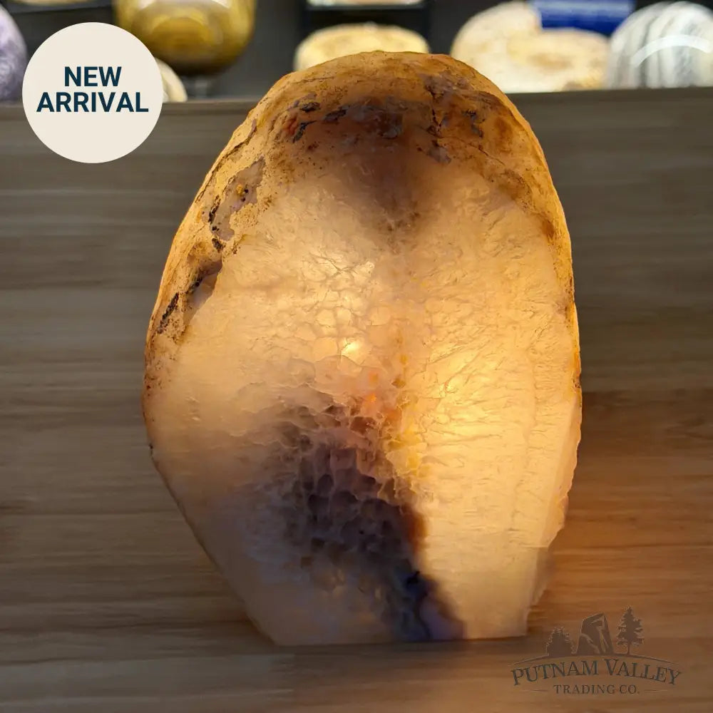 Natural Edge Polished Agate Lamp 6.18lb - Lamp