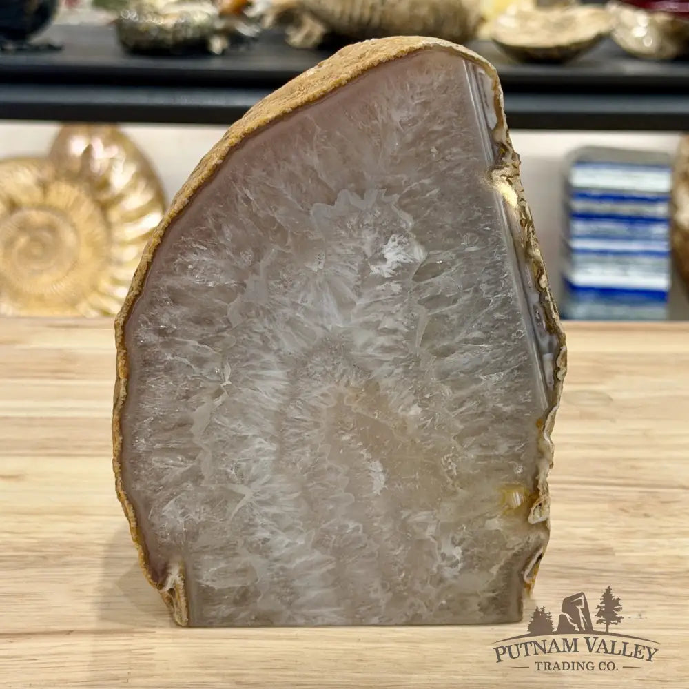 Natural Edge Polished Agate Lamp - Lamp