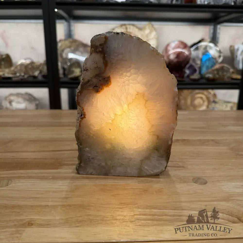 Natural Edge Polished Agate Lamp - Lamp
