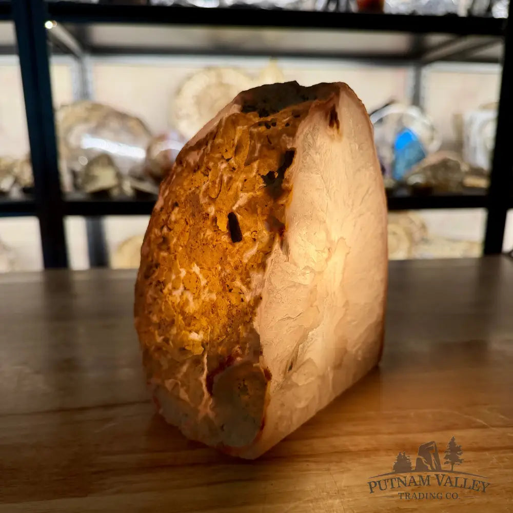 Polished Agate Lamp 5.97’’ - Lamp