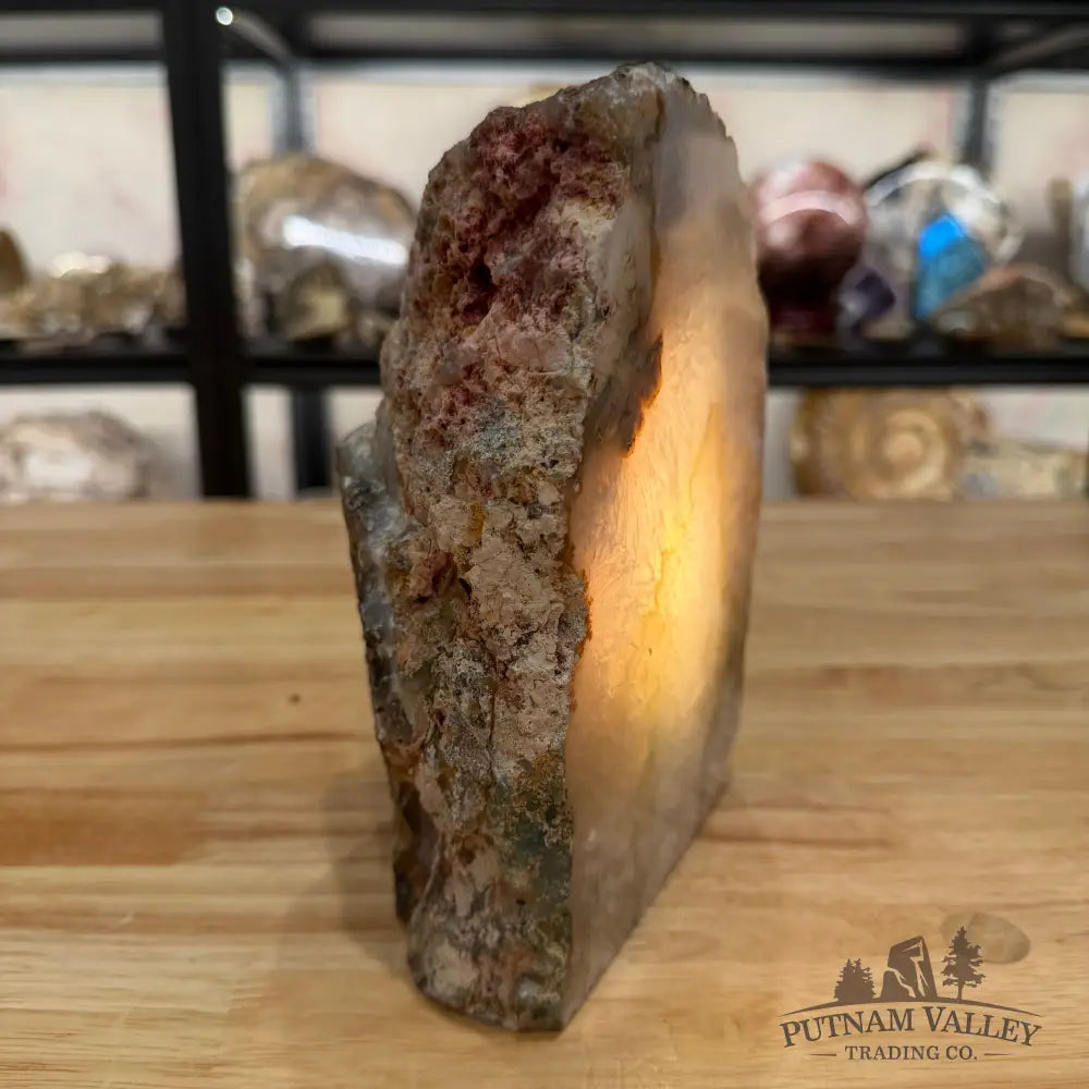 Natural Edge Polished Agate Lamp - Lamp