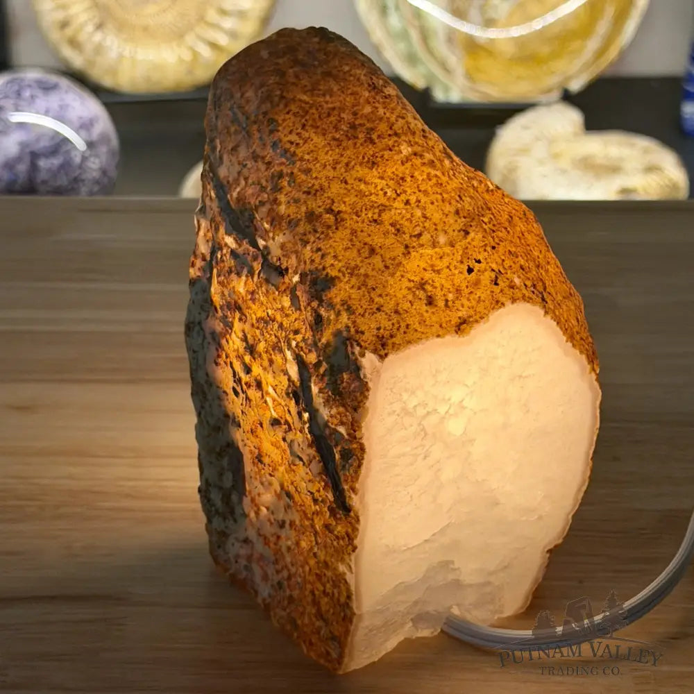 Natural Edge Polished Agate Lamp - Lamp