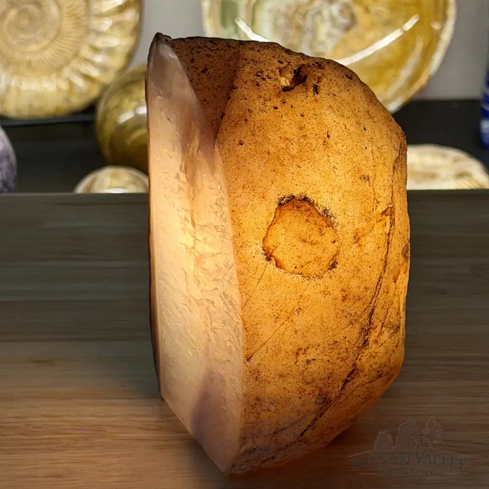 Natural Edge Polished Agate Lamp - Lamp