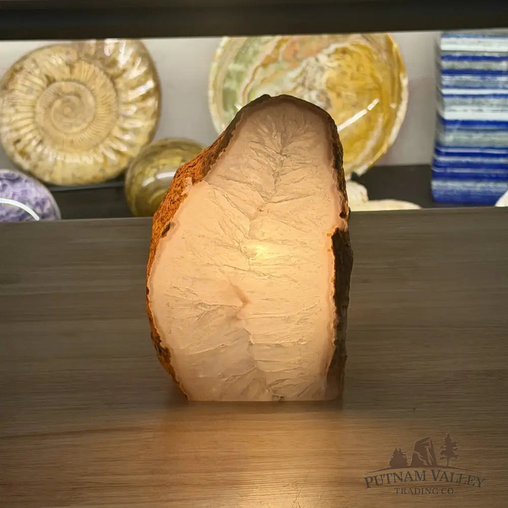 Natural Edge Polished Agate Lamp - Lamp