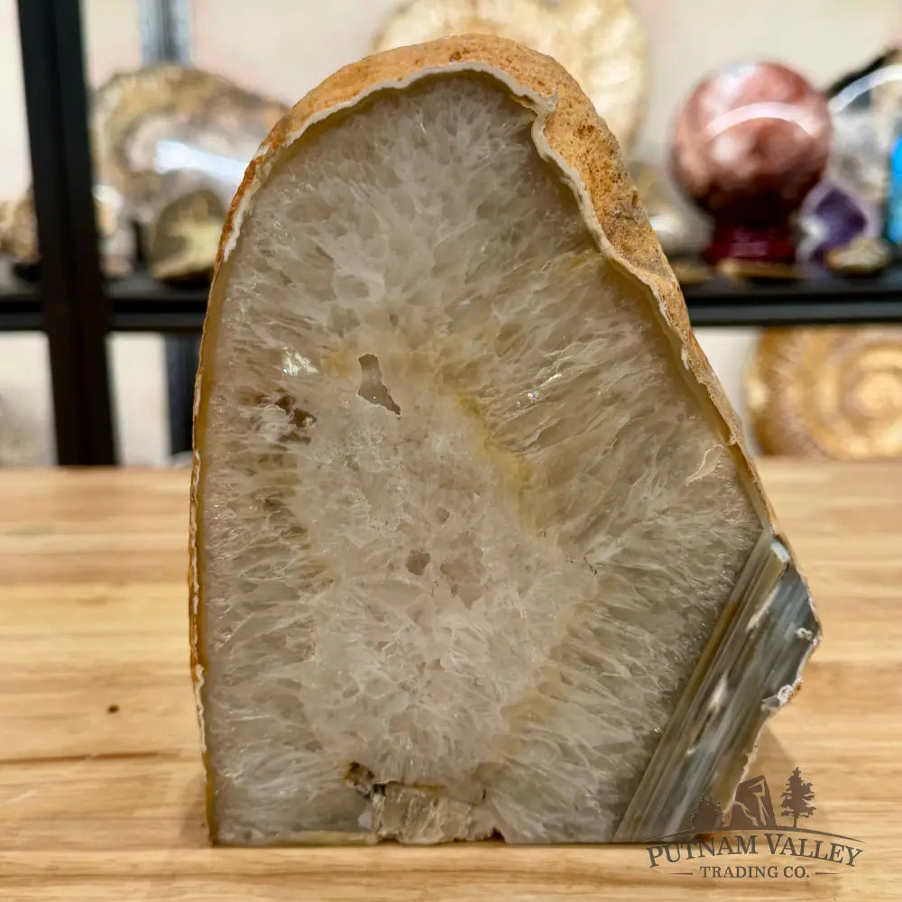 Natural Edge Polished Agate Lamp - Lamp